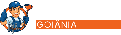 ícone desentupidora goiânia